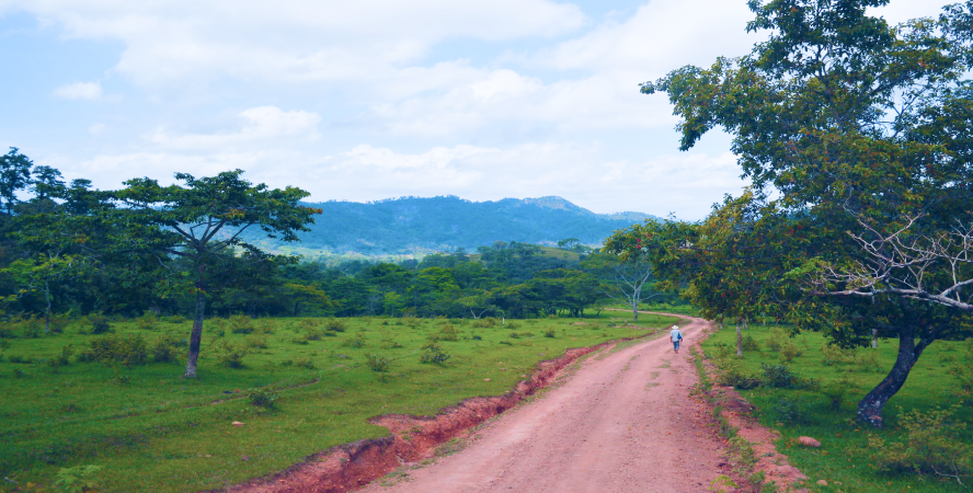 Empty country road with one person at far distance 